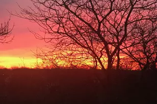 35 S Baybrook Dr, Palatine, IL 60074 - Photo 19