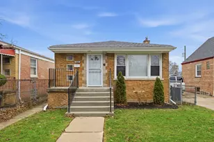 1036 W 105th St, Chicago, IL 60643 - Photo 1