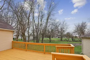 1161 W Frank St, Beecher, IL 60401 - Photo 15