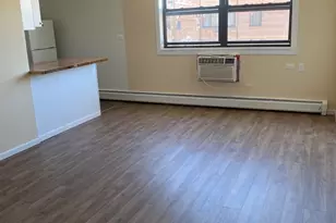 1025 W Hollywood Ave, Chicago, IL 60660 - Photo 7