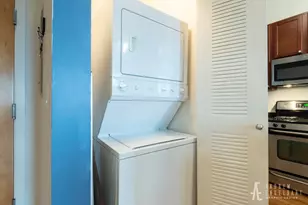 1071 W 15th St, Chicago, IL 60608 - Photo 11