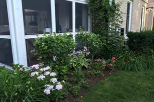 621 E Grove St, Arlington Heights, IL 60005 - Photo 49