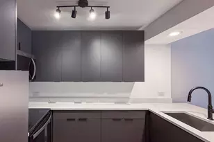 233 E Erie St, Chicago, IL 60611 - Photo 5