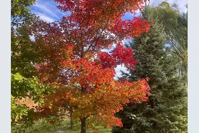 4709 W Iris Lane, Monee, IL 60449 - Photo 25