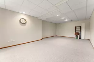 21324 W Douglas Ln, Plainfield, IL 60544 - Photo 29