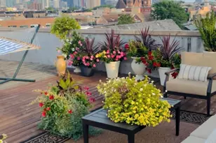 1446 W Cortez Ave, Chicago, IL 60642 - Photo 23