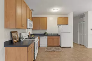 915 S Lytle St, Chicago, IL 60607 - Photo 9