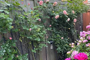 6042 N Mason Ave, Chicago, IL 60646 - Photo 45