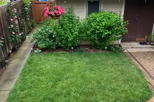 6042 N Mason Ave, Chicago, IL 60646 - Photo 47