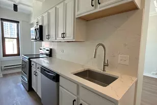 1211 N Lasalle St, Chicago, IL 60610 - Photo 3