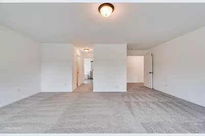 25919 W Ravine Woods Drive, Channahon, IL 60410 - Photo 11