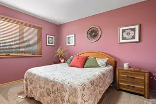 21163 S Wooded Cove Dr, Elwood, IL 60421 - Photo 21