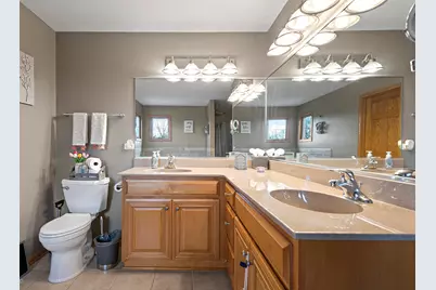 21163 S Wooded Cove Drive, Elwood, IL 60421 - Photo 17