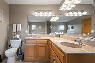 21163 S Wooded Cove Dr, Elwood, IL 60421 - Photo 17