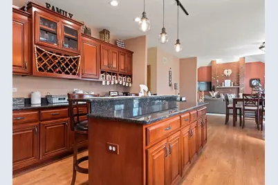 21163 S Wooded Cove Drive, Elwood, IL 60421 - Photo 13