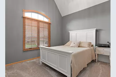 21163 S Wooded Cove Drive, Elwood, IL 60421 - Photo 19