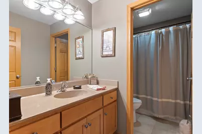 21163 S Wooded Cove Drive, Elwood, IL 60421 - Photo 23