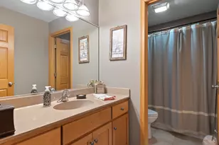 21163 S Wooded Cove Dr, Elwood, IL 60421 - Photo 23