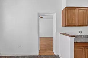 7019 S Merrill Ave, Chicago, IL 60649 - Photo 37