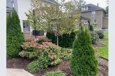 220 Hickory Street, Frankfort, IL 60423 - Photo 47