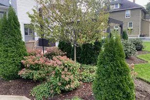 220 Hickory St, Frankfort, IL 60423 - Photo 47