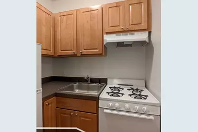 1742 N Humboldt Boulevard #208, Chicago, IL 60647 - Photo 5