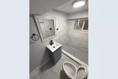 8219 S Honore Street, Chicago, IL 60620 - Photo 29