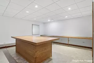 517 Sawgrass Ln, Hampshire, IL 60140 - Photo 27