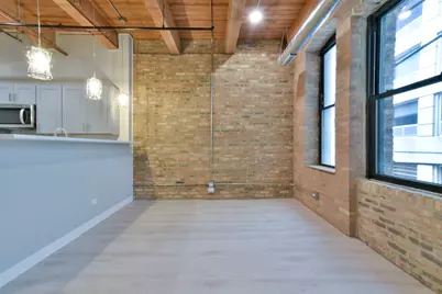11 E Illinois Street #304, Chicago, IL 60611 - Photo 5