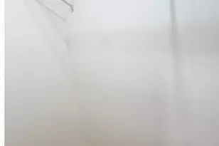 6728 S Langley Ave, Chicago, IL 60637 - Photo 7