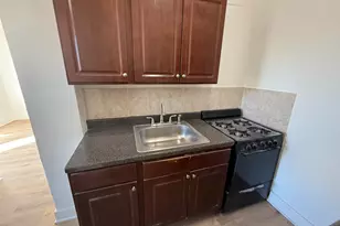 6930 N Greenview Ave, Chicago, IL 60626 - Photo 9