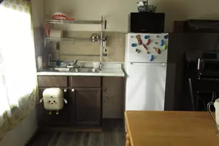 5045 S Hoyne Ave, Chicago, IL 60609 - Photo 9