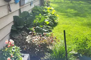 18630 Highland Ave, Homewood, IL 60430 - Photo 37