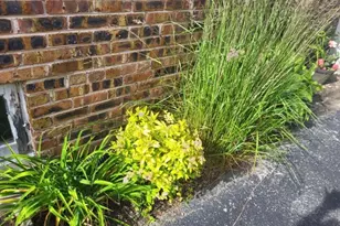 18630 Highland Ave, Homewood, IL 60430 - Photo 35