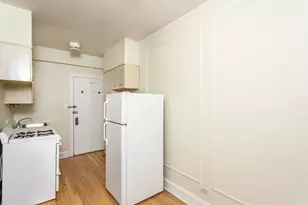 2328 N Lincoln Park W, Chicago, IL 60614 - Photo 3