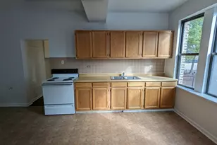 3145 W Medill Ave, Chicago, IL 60647 - Photo 13