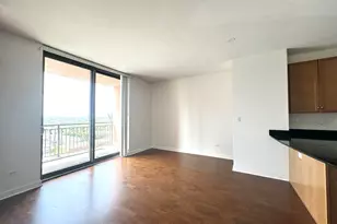 1101 S State St, Chicago, IL 60605 - Photo 3