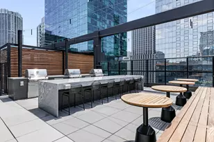 218 E Grand Ave, Chicago, IL 60611 - Photo 15