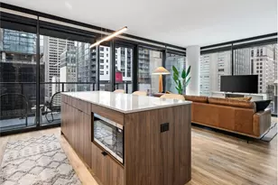 218 E Grand Ave, Chicago, IL 60611 - Photo 3