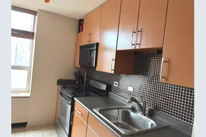 70 W Burton Place #1203, Chicago, IL 60610 - Photo 3