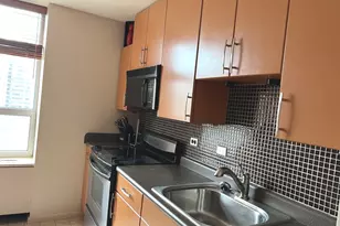 70 W Burton Pl, Chicago, IL 60610 - Photo 3