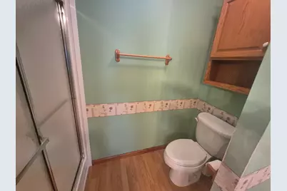 10864 La Costa Lane, Frankfort, IL 60423 - Photo 39