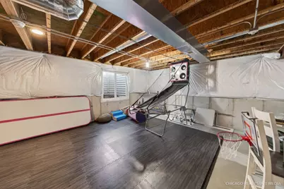 295 Monarch Lane, Volo, IL 60020 - Photo 25