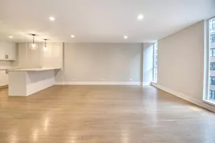 227 E Walton Pl, Chicago, IL 60611 - Photo 9