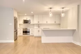 227 E Walton Pl, Chicago, IL 60611 - Photo 3