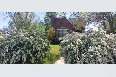 19 W Hattendorf Avenue, Roselle, IL 60172 - Photo 3