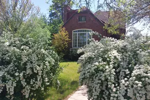 19 W Hattendorf Ave, Roselle, IL 60172 - Photo 3