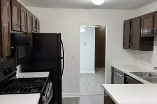 7040 Remington Ct, Woodridge, IL 60517 - Photo 9