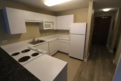 2 E Erie Street #1901, Chicago, IL 60611 - Photo 5