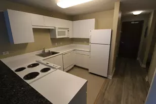 2 E Erie St, Chicago, IL 60611 - Photo 5